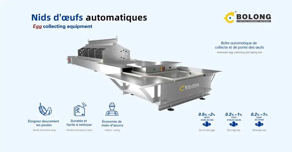 Automatic Egg Collector