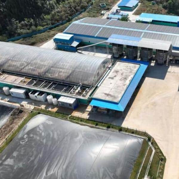 Bolong Helps Vietnam Pig Farm Build a Green Manure Management Model